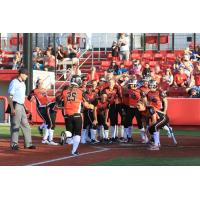 Taylor Edwards Scores after Hitting a Home Run for the Chicago Bandits