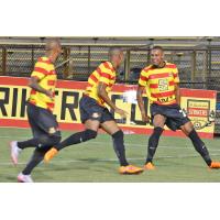 Fort Lauderdale Strikers Forward Stefano Pinho Celebrates a Goal with Teammates