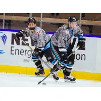 NWHL in Action