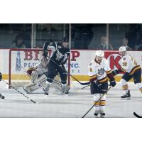 Chicago Wolves Defend their Goal vs. the San Antonio Rampage
