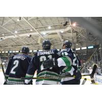 Everblades Extend Qualifying Offers to Eight Players
