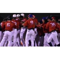 Midwest League East All-Stars celebrate a walk-off win