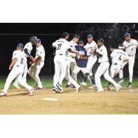 Tri-City Dust Devils celebrate an extra-innings win