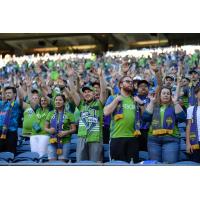 Seattle Sounders FC fans cheer on their team