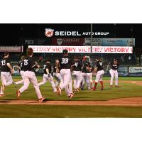 Reading Fightin Phils race on to the field after a walk-off win