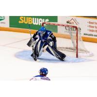 Goaltender Zachary Bouthillier with the Saint John Sea Dogs