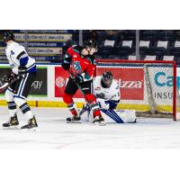 Kelowna Rockets set up in front of the Victoria Royals net