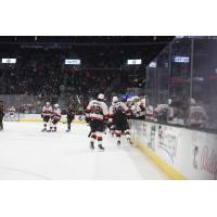 Belleville Senators' Cole Cassels and Roby Jarventie on game night
