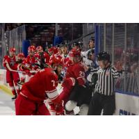 Allen Americans get to know the Utah Grizzlies bench