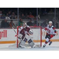 Peterborough Petes' Michael Simpson and Ottawa 67's' Jack Dever in action