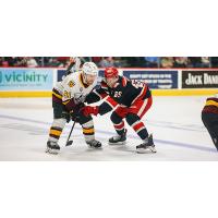 Grand Rapids Griffins face off with the Chicago Wolves
