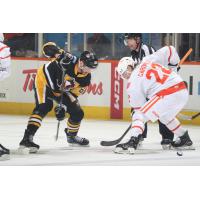 Lehigh Valley Phantoms face off with the Wilkes-Barre/Scranton Penguins
